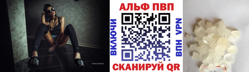 Альфа ПВП СК  Чегем 