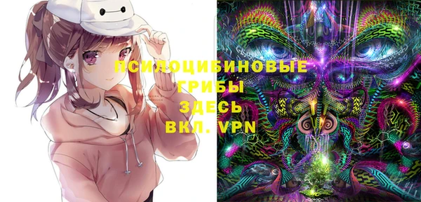 ПСИЛОЦИБИНОВЫЕ ГРИБЫ Лихославль
