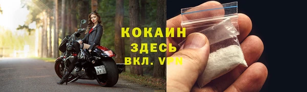ПСИЛОЦИБИНОВЫЕ ГРИБЫ Лихославль