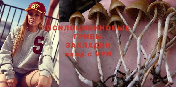 стафф Липки