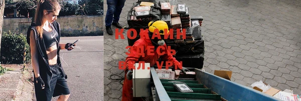стафф Липки