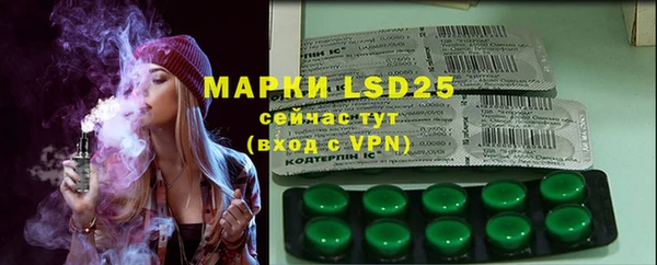 ПСИЛОЦИБИНОВЫЕ ГРИБЫ Лихославль