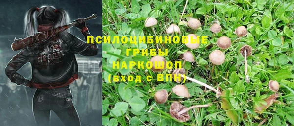 стафф Липки