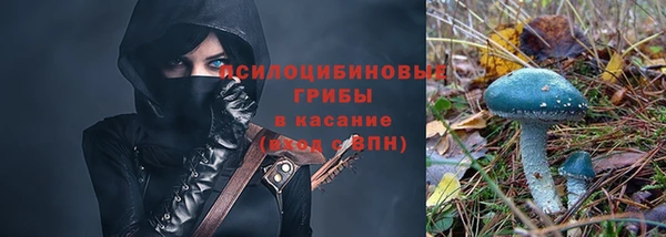 ПСИЛОЦИБИНОВЫЕ ГРИБЫ Лихославль