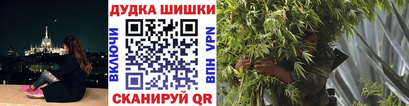 MEGA   Чегем  Бошки Шишки THC 21% 